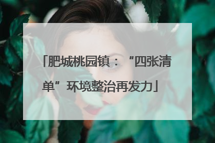 肥城桃园镇：“四张清单”环境整治再发力