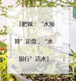 肥城：“水预算”定盘，“水银行”活水