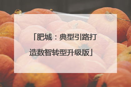 肥城：典型引路打造数智转型升级版