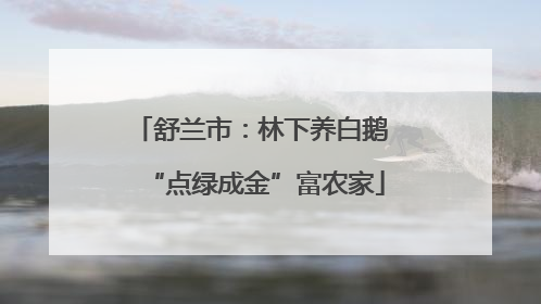 舒兰市：林下养白鹅 “点绿成金”富农家