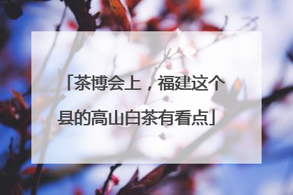 茶博会上，福建这个县的高山白茶有看点