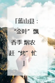 蓝山县：“金叶”飘香季 烟农赶“烤”忙