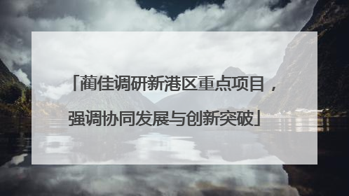 蔺佳调研新港区重点项目，强调协同发展与创新突破