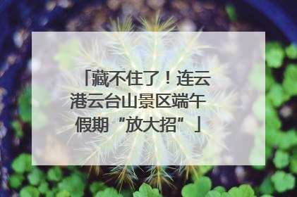 藏不住了！连云港云台山景区端午假期“放大招”