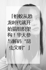 蚂蚁从恐龙时代就开始搞组织架构！华大参与解码“昆虫文明”