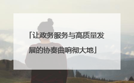 让政务服务与高质量发展的协奏曲响彻大地