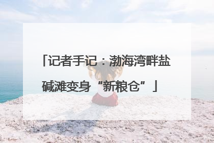 记者手记：渤海湾畔盐碱滩变身“新粮仓”