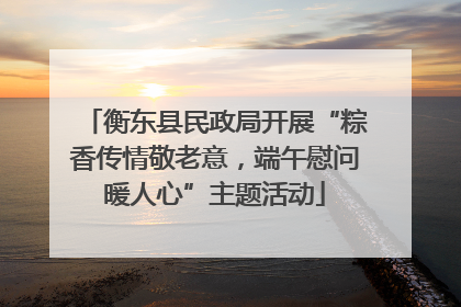 衡东县民政局开展“粽香传情敬老意，端午慰问暖人心”主题活动