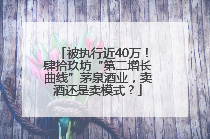 被执行近40万！肆拾玖坊“第二增长曲线”茅泉酒业，卖酒还是卖模式？