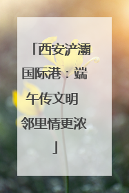 西安浐灞国际港：端午传文明 邻里情更浓
