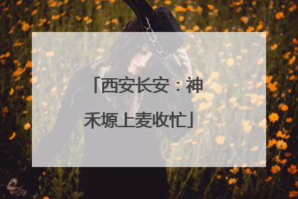 西安长安：神禾塬上麦收忙