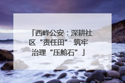 西峰公安：深耕社区“责任田” 筑牢治理“压舱石”
