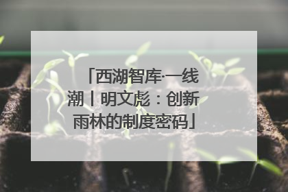 西湖智库·一线潮丨明文彪：创新雨林的制度密码
