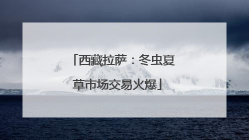 西藏拉萨：冬虫夏草市场交易火爆