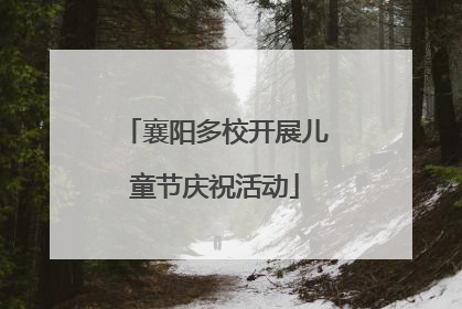 襄阳多校开展儿童节庆祝活动