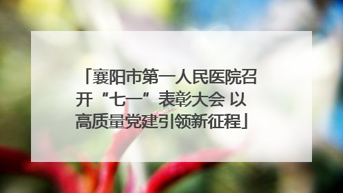 襄阳市第一人民医院召开“七一”表彰大会 以高质量党建引领新征程