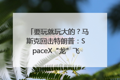 要玩就玩大的？马斯克回击特朗普：SpaceX“龙”飞船将立即退役！
