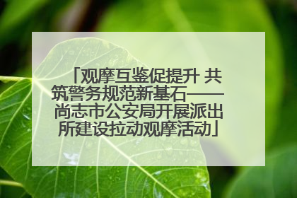 观摩互鉴促提升 共筑警务规范新基石——尚志市公安局开展派出所建设拉动观摩活动