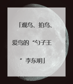 观鸟、拍鸟、爱鸟的“勺子王”李东明