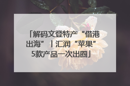 解码文登特产“借港出海”丨汇润“苹果”5款产品一次出圈