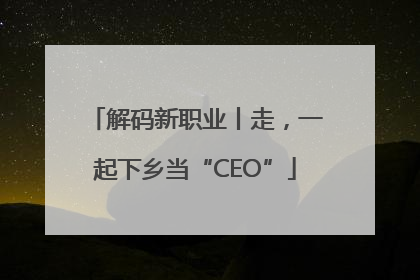 解码新职业丨走，一起下乡当“CEO”