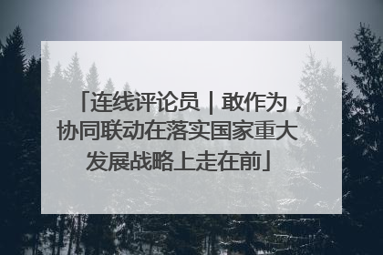 连线评论员｜敢作为，协同联动在落实国家重大发展战略上走在前