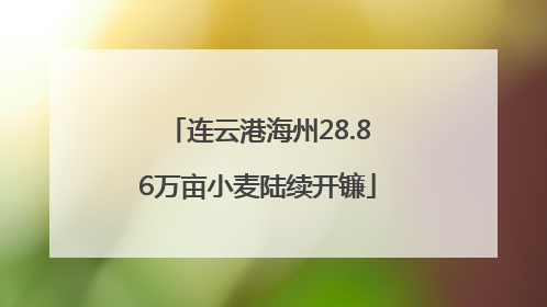 连云港海州28.86万亩小麦陆续开镰