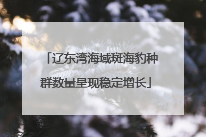 辽东湾海域斑海豹种群数量呈现稳定增长