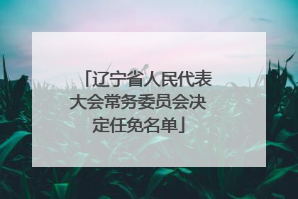 辽宁省人民代表大会常务委员会决定任免名单