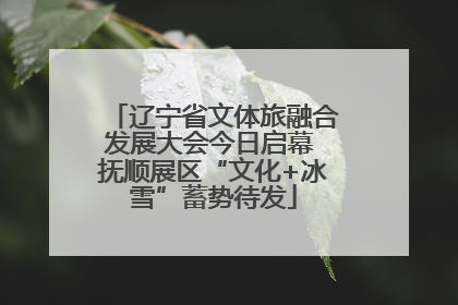 辽宁省文体旅融合发展大会今日启幕 抚顺展区“文化+冰雪”蓄势待发