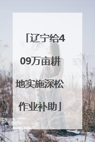 辽宁给409万亩耕地实施深松作业补助