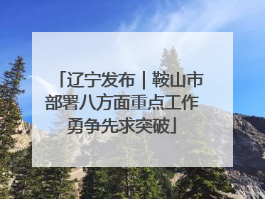 辽宁发布｜鞍山市部署八方面重点工作勇争先求突破