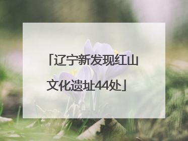 辽宁新发现红山文化遗址44处