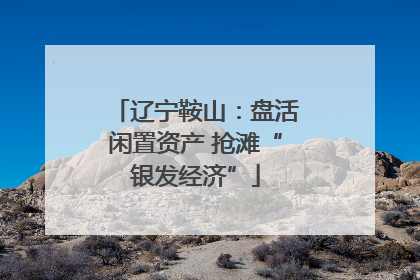辽宁鞍山：盘活闲置资产 抢滩“银发经济”