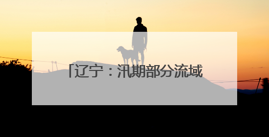 辽宁：汛期部分流域可能发生较大洪水
