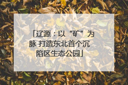 辽源：以“矿”为脉 打造东北首个沉陷区生态公园