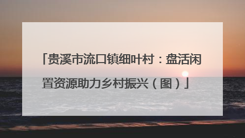 贵溪市流口镇细叶村：盘活闲置资源助力乡村振兴（图）