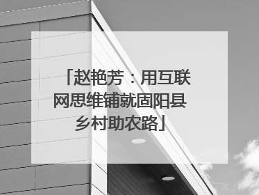 赵艳芳：用互联网思维铺就固阳县乡村助农路