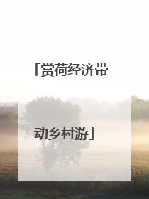 赏荷经济带动乡村游