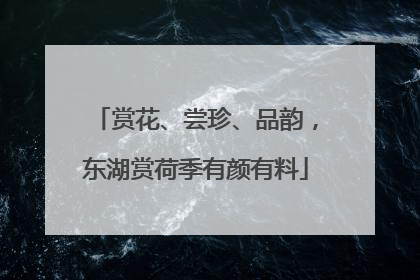 赏花、尝珍、品韵，东湖赏荷季有颜有料