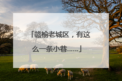 赣榆老城区，有这么一条小巷……