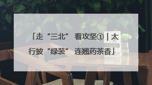 走“三北” 看攻坚①｜太行披“绿装” 连翘药茶香