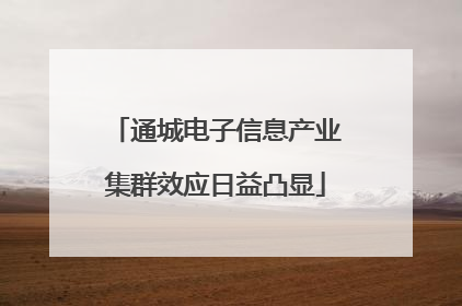 通城电子信息产业集群效应日益凸显