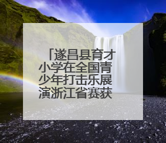 遂昌县育才小学在全国青少年打击乐展演浙江省赛获佳绩
