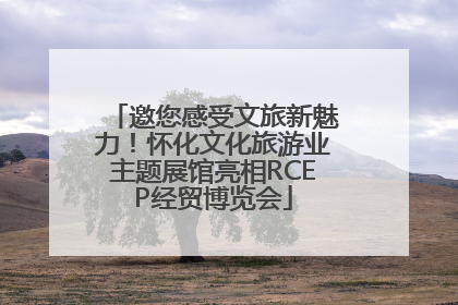 邀您感受文旅新魅力！怀化文化旅游业主题展馆亮相RCEP经贸博览会