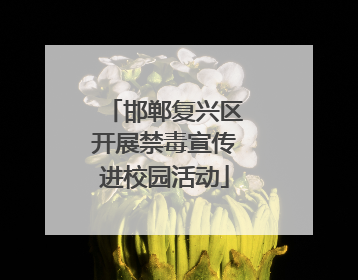 邯郸复兴区开展禁毒宣传进校园活动