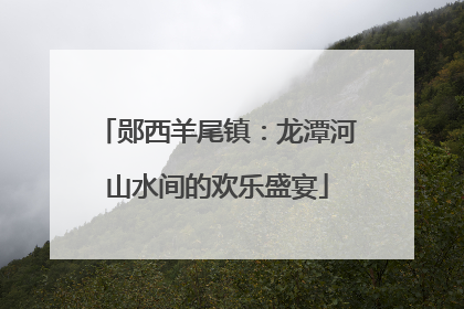 郧西羊尾镇：龙潭河山水间的欢乐盛宴