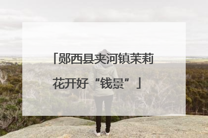 郧西县夹河镇茉莉花开好“钱景”