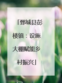 鄄城县彭楼镇：设施大棚赋能乡村振兴