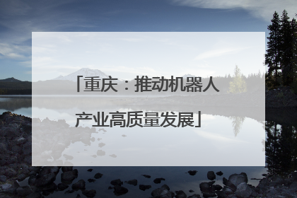 重庆：推动机器人产业高质量发展